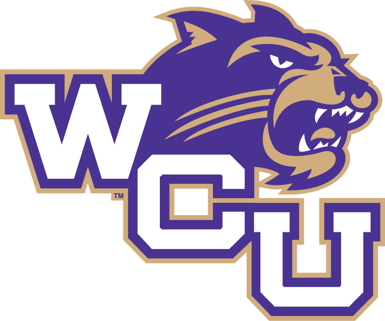 Western Carolina Catamounts 2008-Pres Alternate Logo v2 diy DTF decal sticker